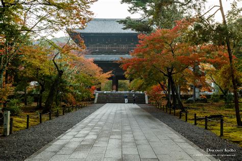 怎麼去京都南禪寺？是否可以探讨一下京都南禪寺的历史背景及其在佛教文化中的地位？